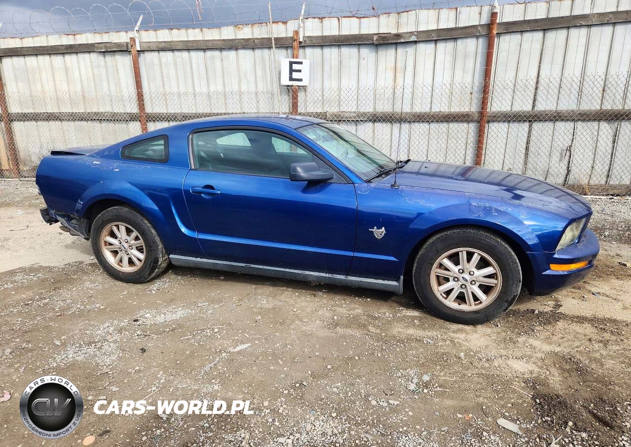 2009 Ford Mustang VIN:1ZVHT80N795132142 - 4