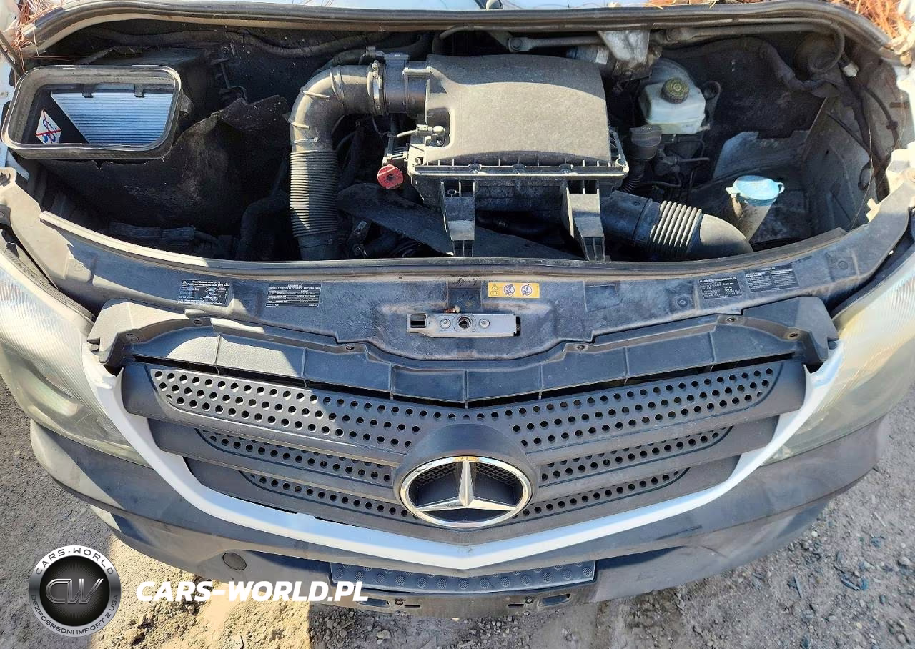 2015 Mercedes-Benz Sprinter 2500 VIN:WD3PE8DB7FP135366 - 11