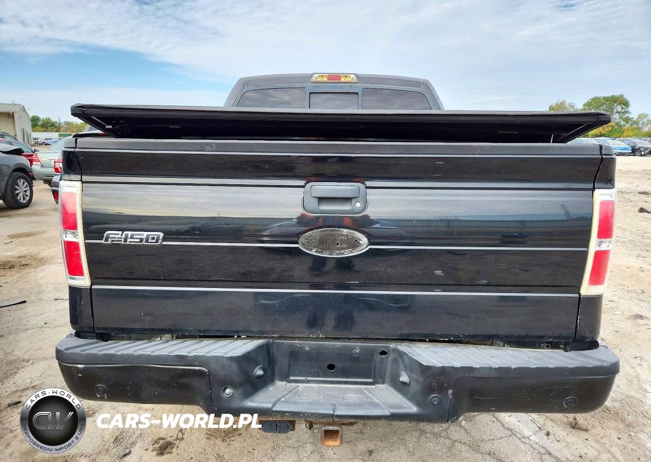 2010 Ford F150 Supercrew VIN:1FTFW1EVXAFA10262 - 6