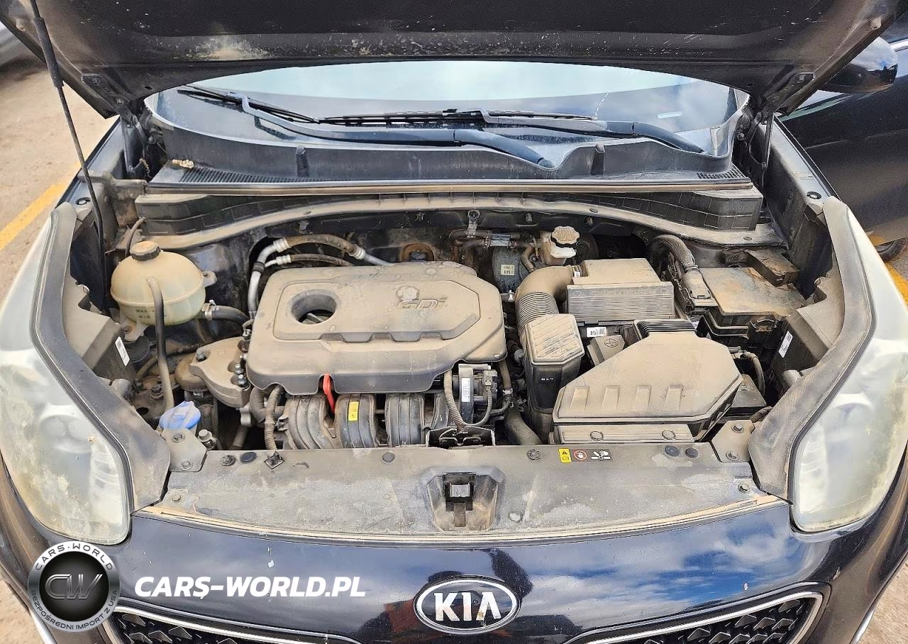 2017 Kia Sportage Lx VIN:KNDPMCAC2H7135514 - 12