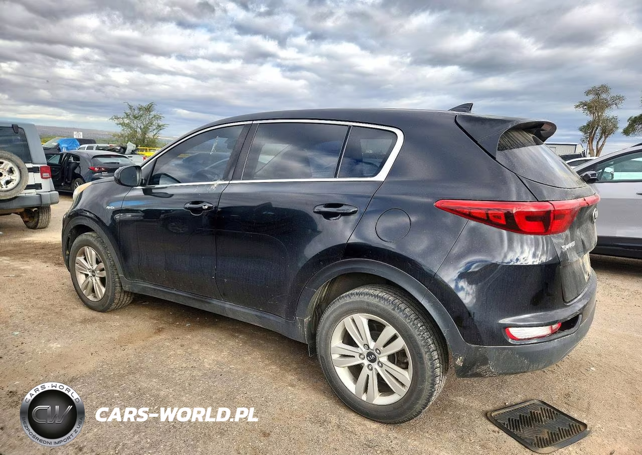 2017 Kia Sportage Lx VIN:KNDPMCAC2H7135514 - 2