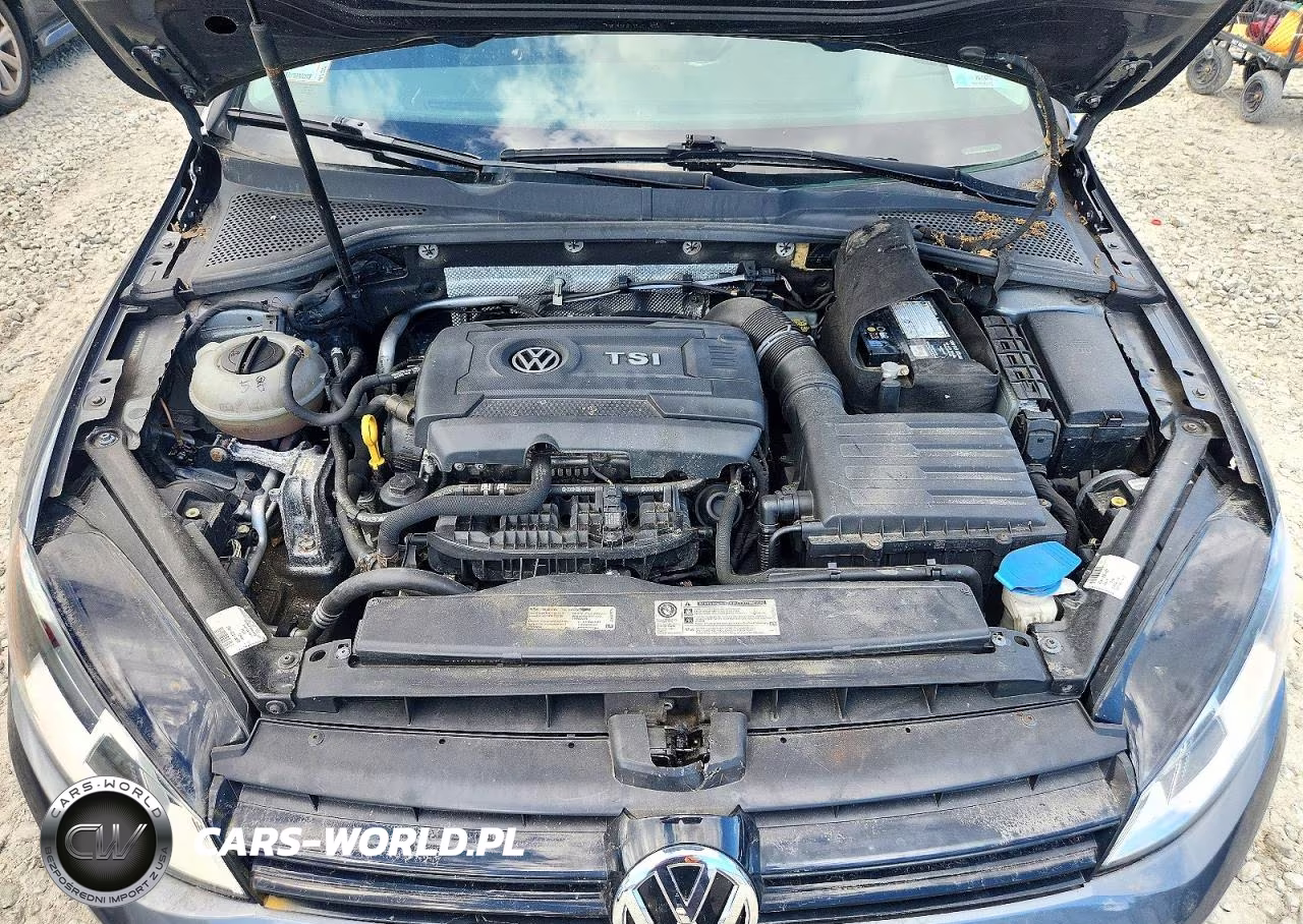 2016 Volkswagen Golf S-Se VIN:3VW217AUXGM029770 - 11