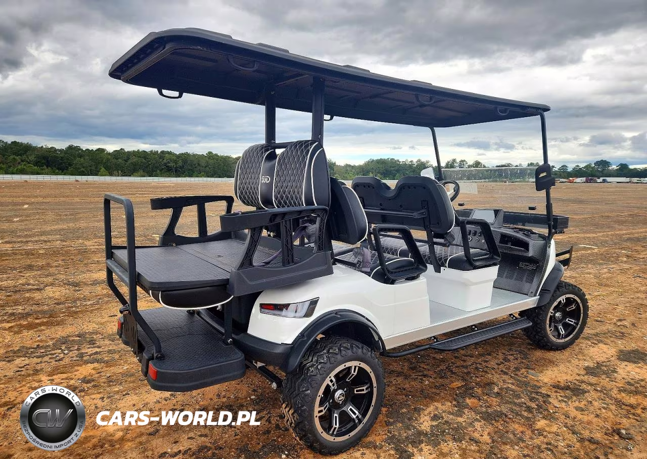 2024 Other Gud Motorsports - Golf Cart VIN:1G9RB3304RM631103 - 4