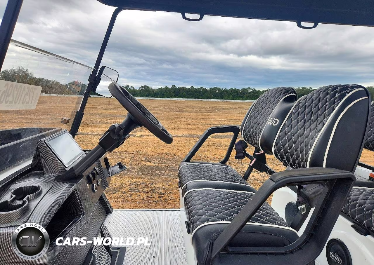 2024 Other Gud Motorsports - Golf Cart VIN:1G9RB3304RM631103 - 5