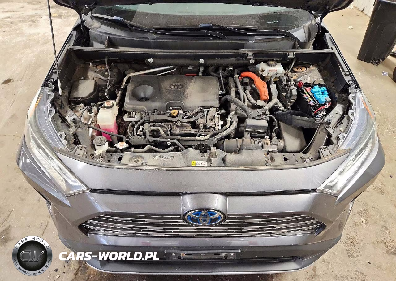 2019 Toyota Rav4 Limited VIN:2T3DWRFV0KW009433 - 12