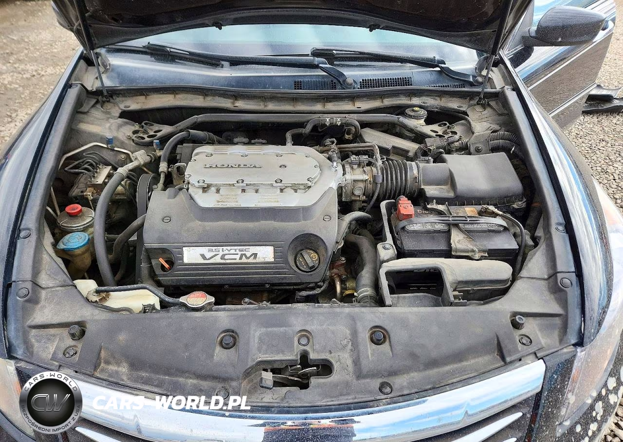 2011 Honda Accord Exl VIN:1HGCP3F85BA026244 - 11