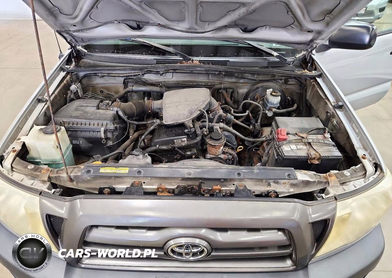 2009 Toyota Tacoma Base VIN:5TEPX42N99Z645852 - 11
