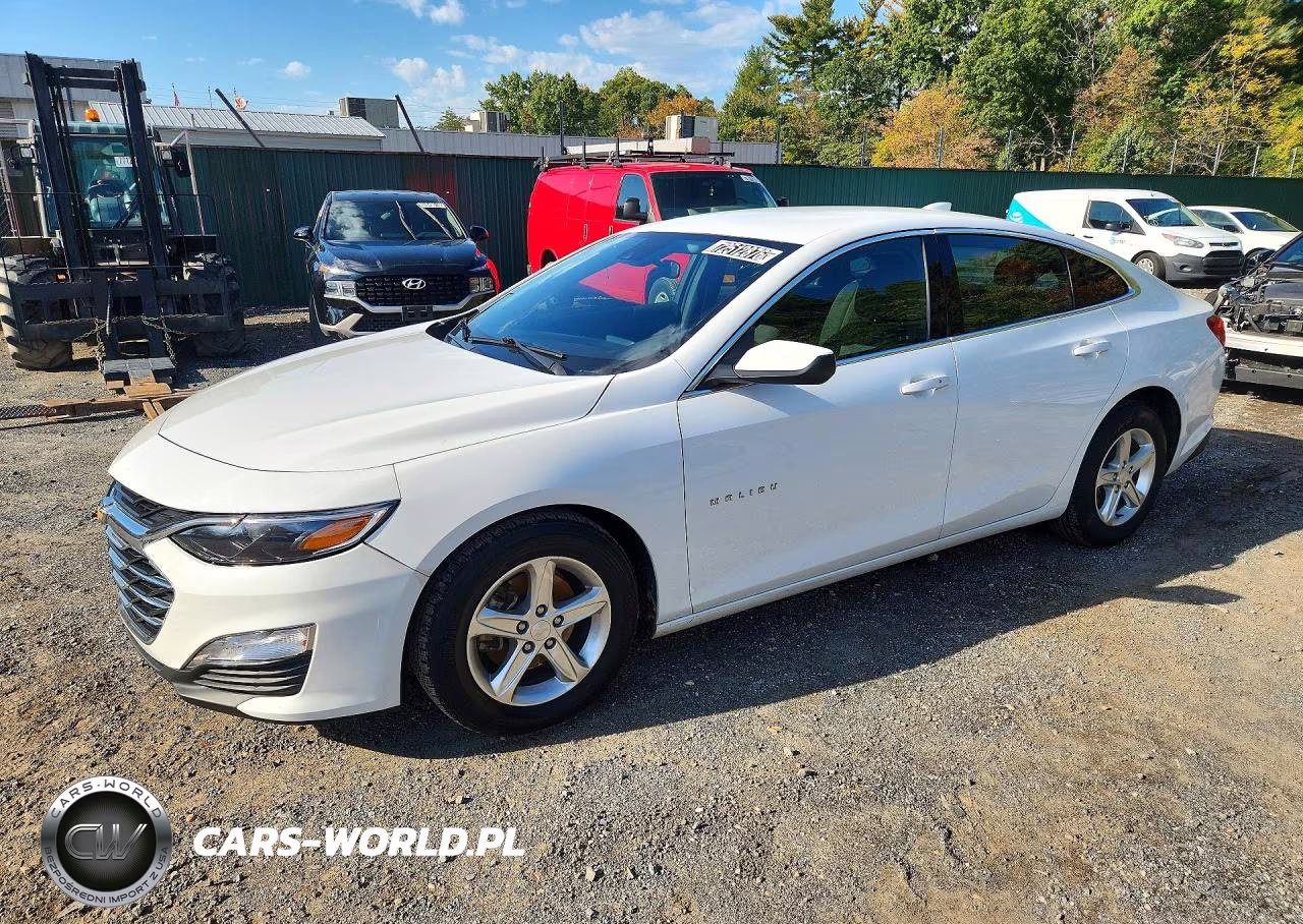 2023 Chevrolet Malibu Lt VIN:1G1ZD5ST9PF160796 - 1