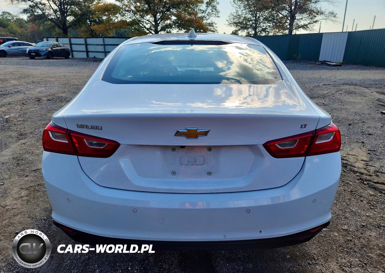 2023 Chevrolet Malibu Lt VIN:1G1ZD5ST9PF160796 - 6