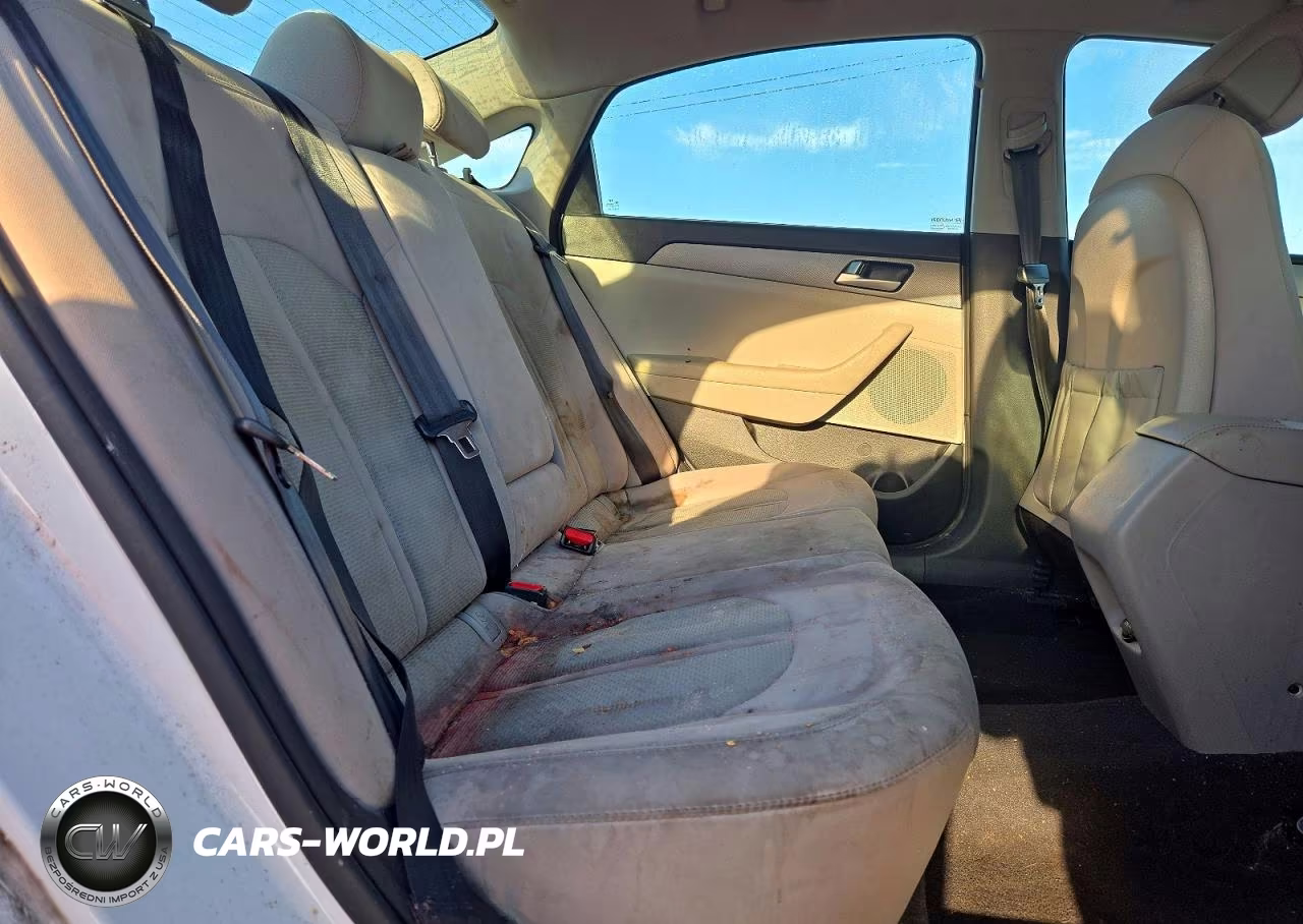 2015 Hyundai Sonata Se VIN:5NPE24AF2FH172150 - 10