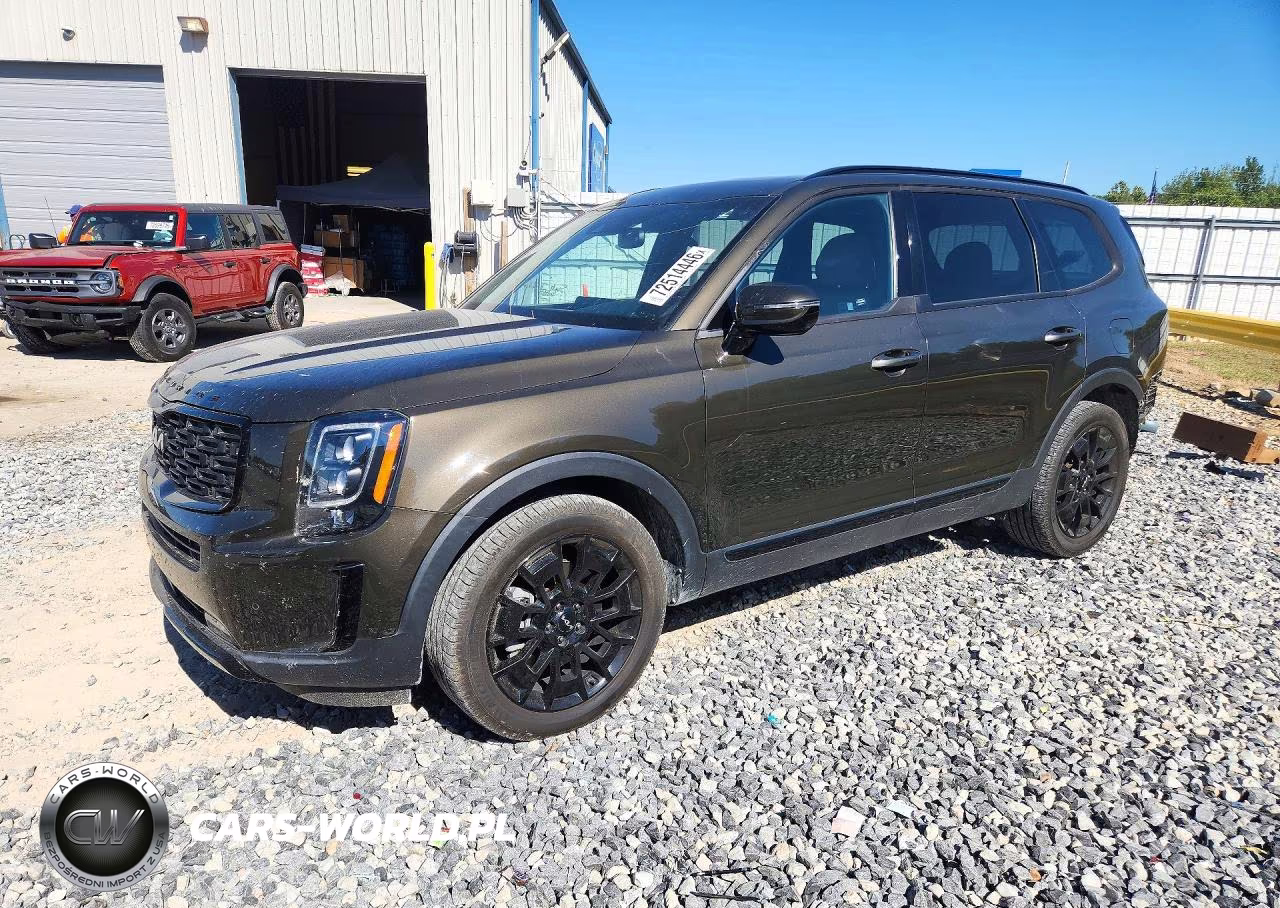 2022 Kia Telluride Sx VIN:5XYP5DHC9NG278287 - 1