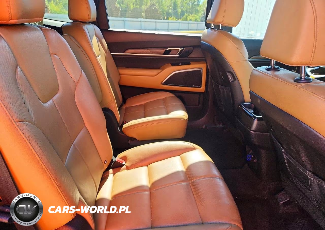 2022 Kia Telluride Sx VIN:5XYP5DHC9NG278287 - 11