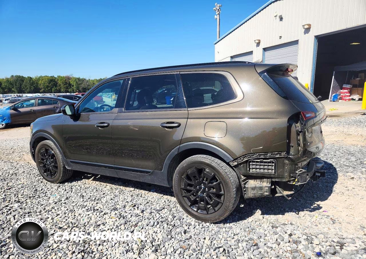 2022 Kia Telluride Sx VIN:5XYP5DHC9NG278287 - 2