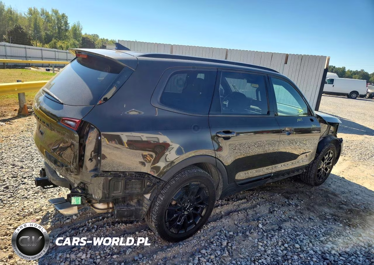 2022 Kia Telluride Sx VIN:5XYP5DHC9NG278287 - 3