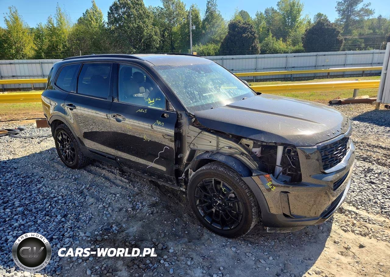 2022 Kia Telluride Sx VIN:5XYP5DHC9NG278287 - 4