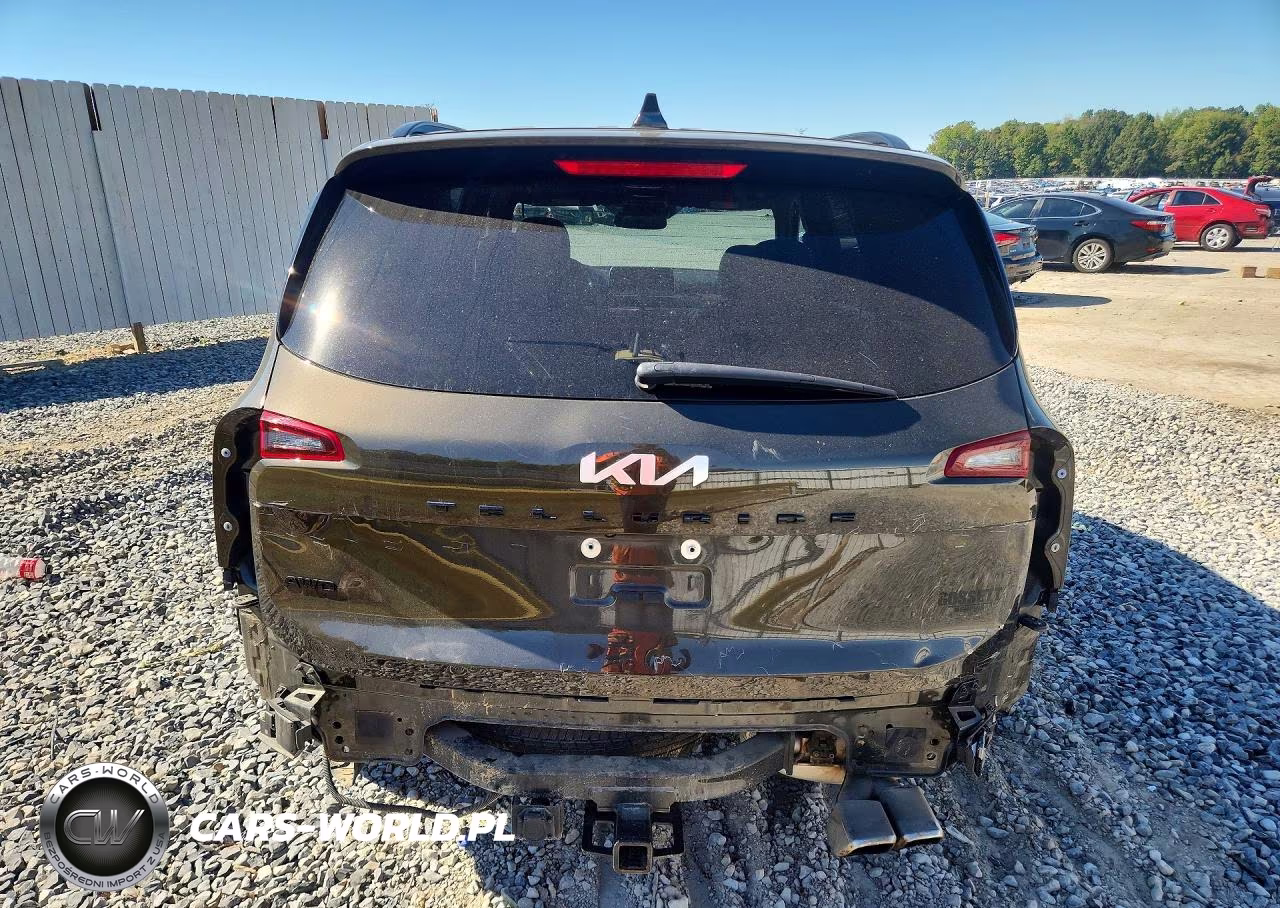 2022 Kia Telluride Sx VIN:5XYP5DHC9NG278287 - 6