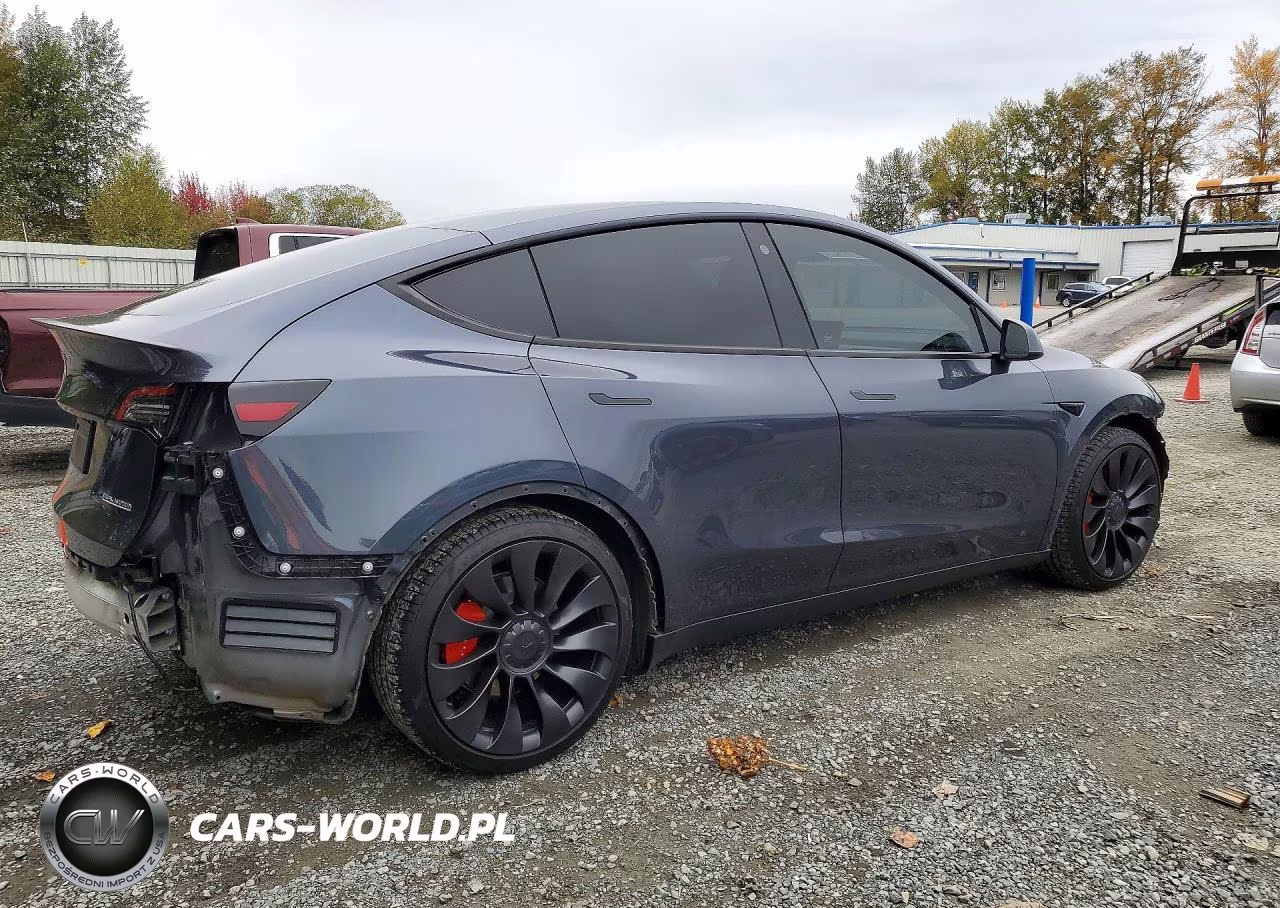 2022 Tesla Model Y VIN:7SAYGDEF2NF544580 - 3
