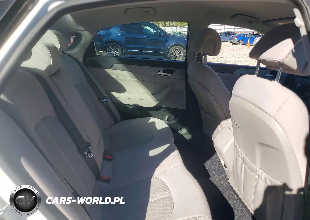 2016 Hyundai Sonata Eco VIN:5NPE24AAXGH433207 - 10