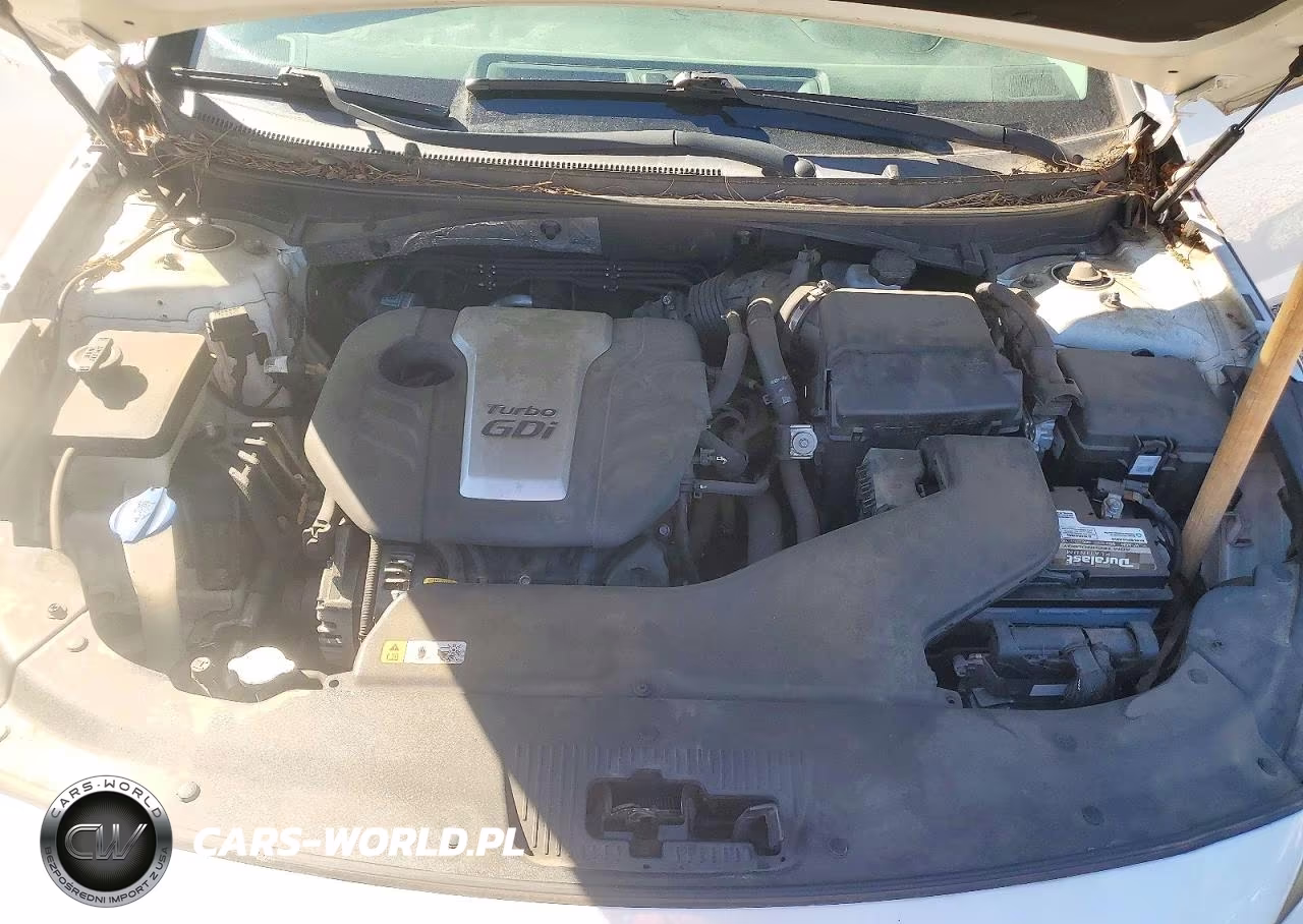 2016 Hyundai Sonata Eco VIN:5NPE24AAXGH433207 - 11
