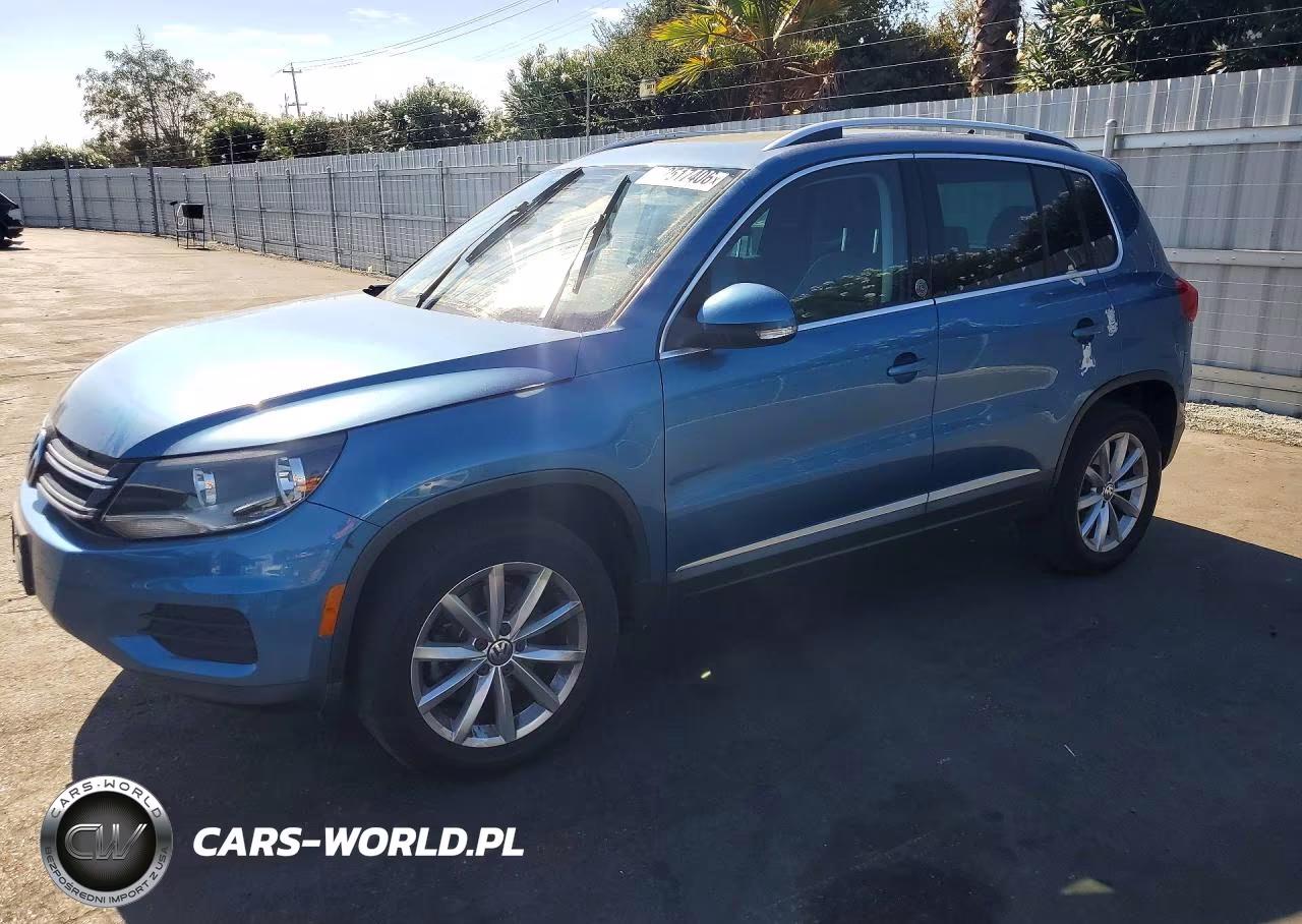 2017 Volkswagen Tiguan Wolfsburg