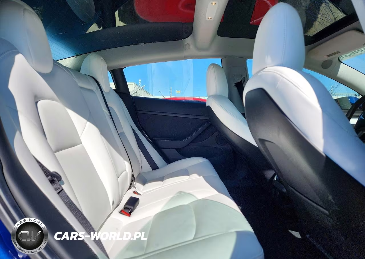 2021 Tesla Model 3 VIN:5YJ3E1EB9MF066942 - 10