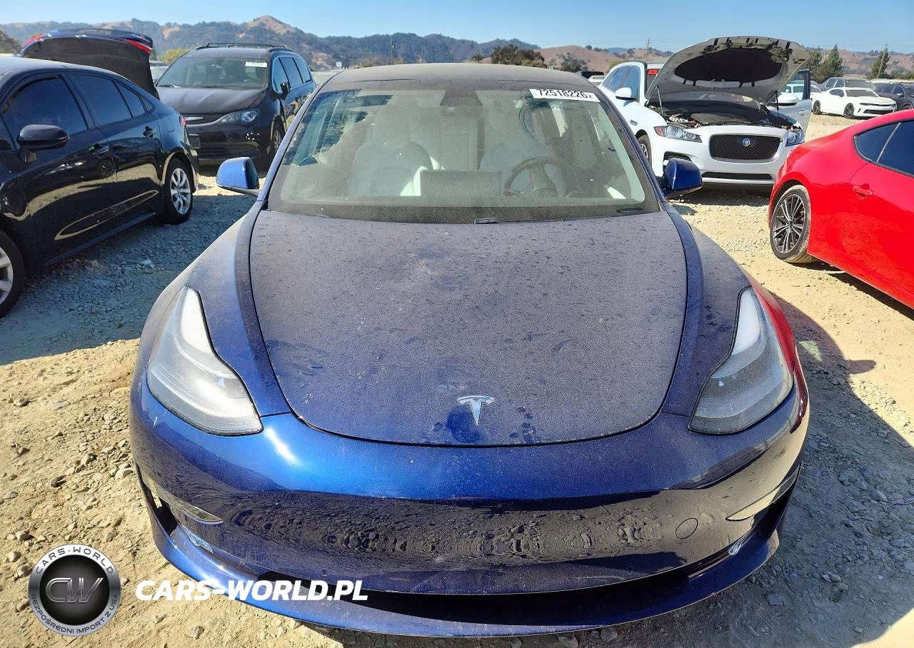 2021 Tesla Model 3 VIN:5YJ3E1EB9MF066942 - 5