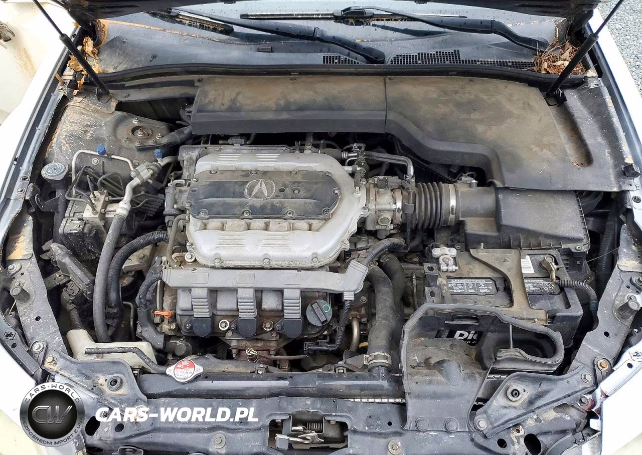 2010 Acura Tl VIN:19UUA8F20AA015102 - 11