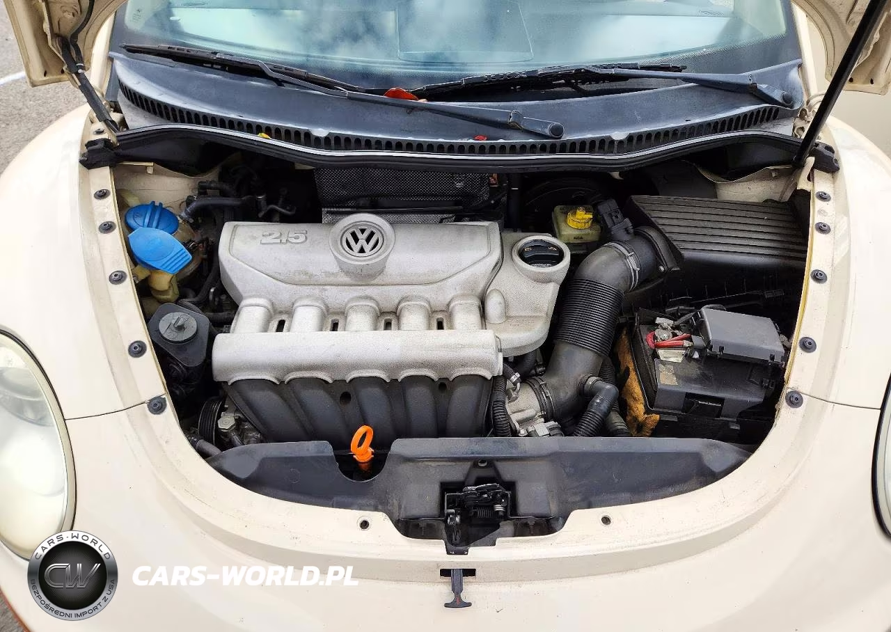 2006 Volkswagen New Beetle 2.5L VIN:3VWPW31C36M423147 - 11