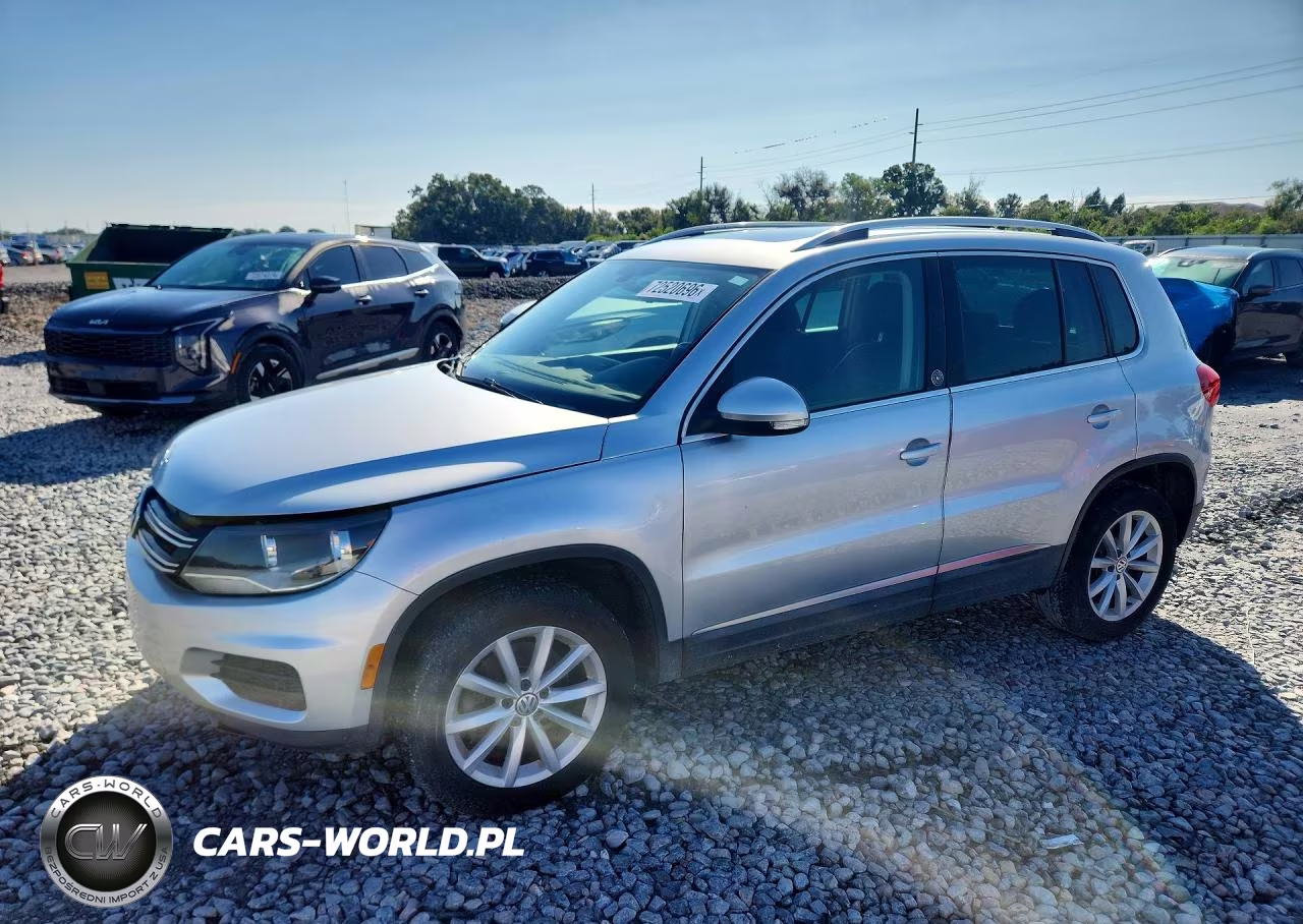 2017 Volkswagen Tiguan Wolfsburg