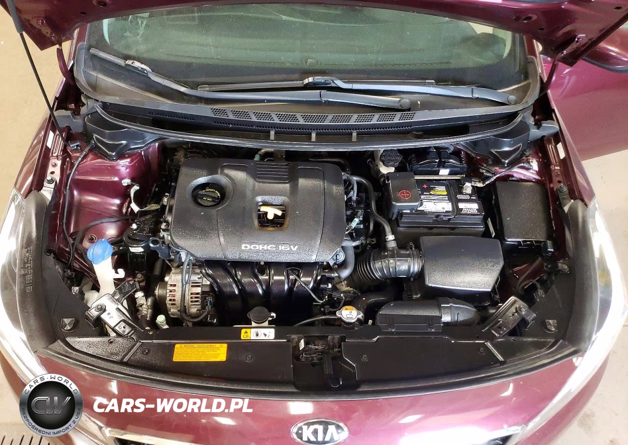 2017 Kia Forte Lx VIN:3KPFK4A7XHE121239 - 11