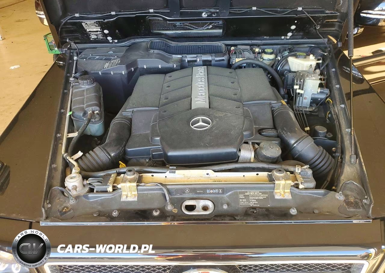 2003 Mercedes-Benz G 500 VIN:WDCYR49E83X135019 - 12