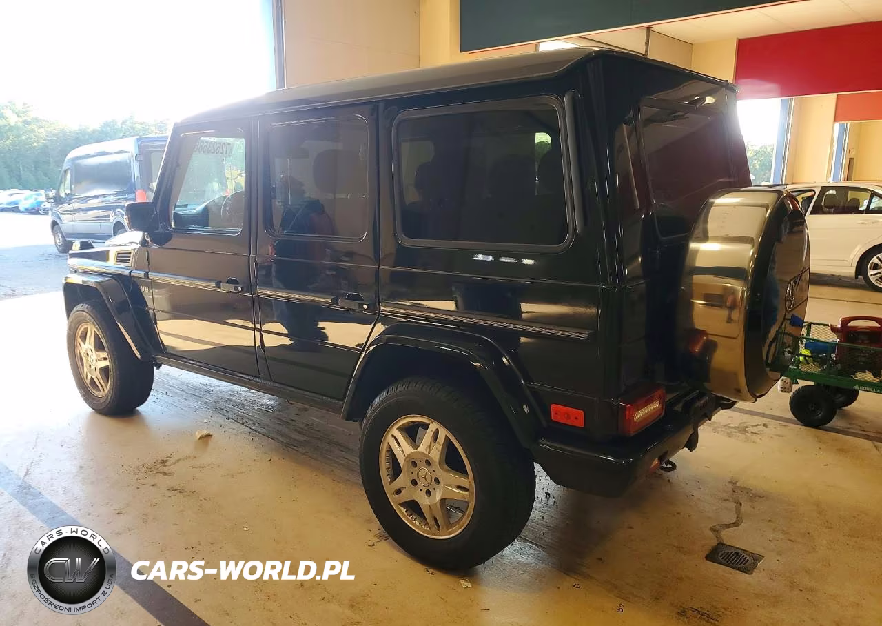 2003 Mercedes-Benz G 500 VIN:WDCYR49E83X135019 - 2