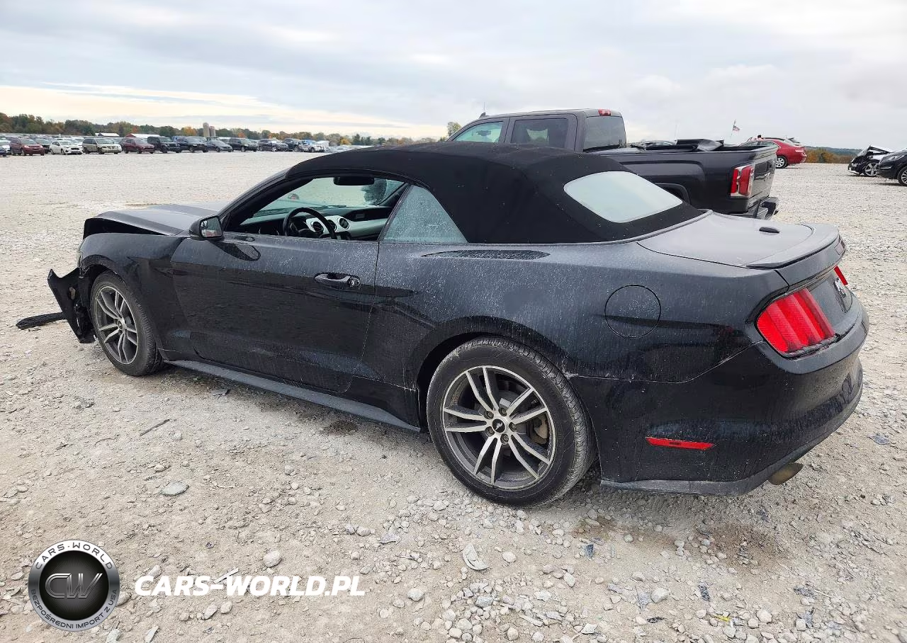 2016 Ford Mustang VIN:1FATP8UH0G5281744 - 2