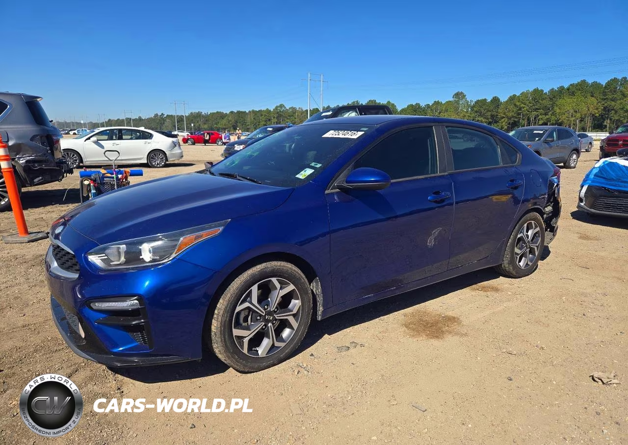 2019 Kia Forte Lxs