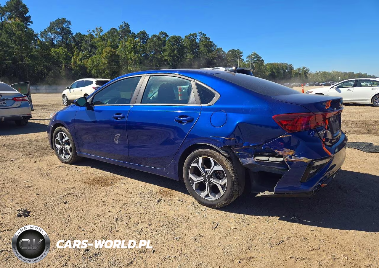 2019 Kia Forte Lxs VIN:3KPF24AD9KE137414 - 2