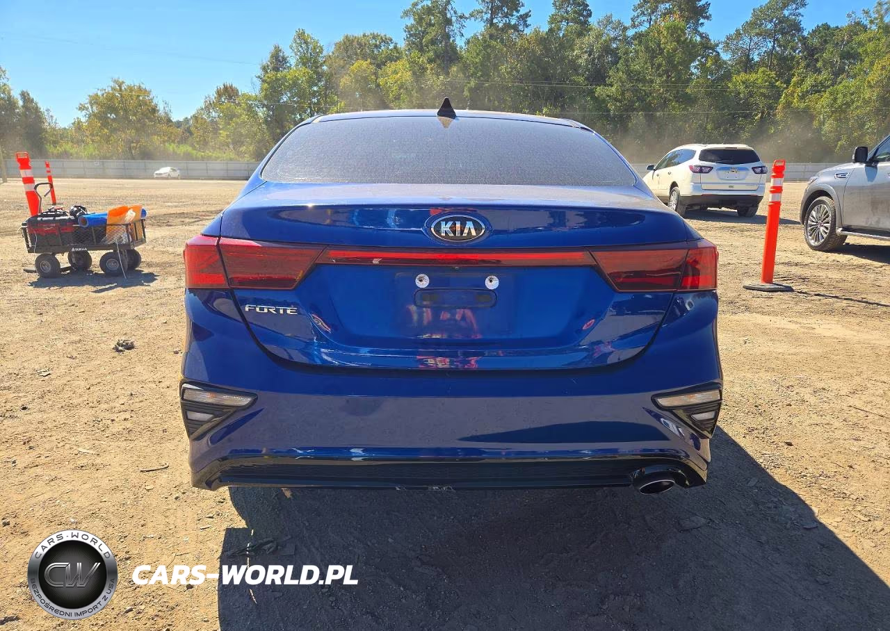 2019 Kia Forte Lxs VIN:3KPF24AD9KE137414 - 6