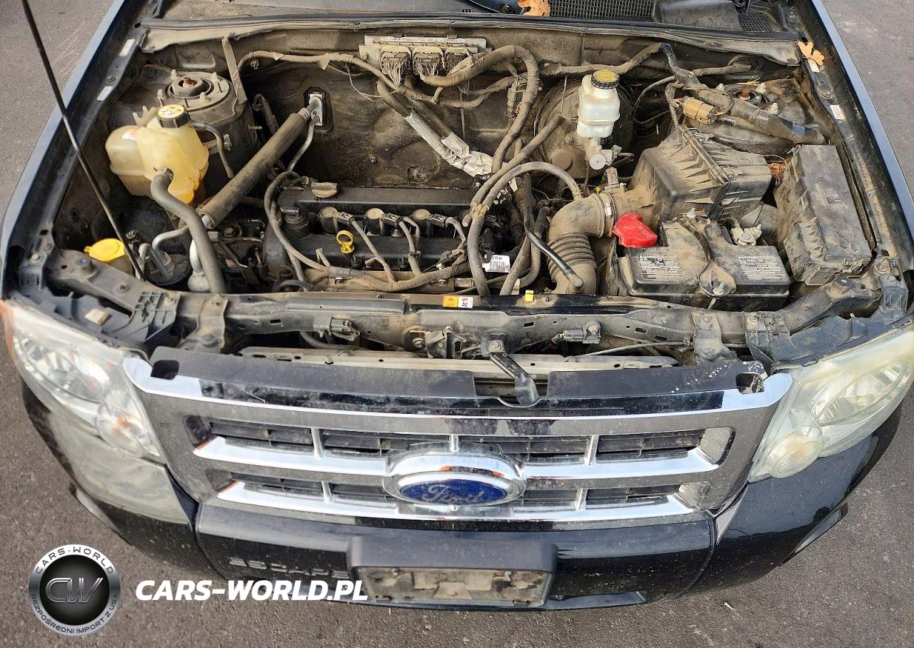 2009 Ford Escape Xlt VIN:1FMCU03789KA48028 - 11