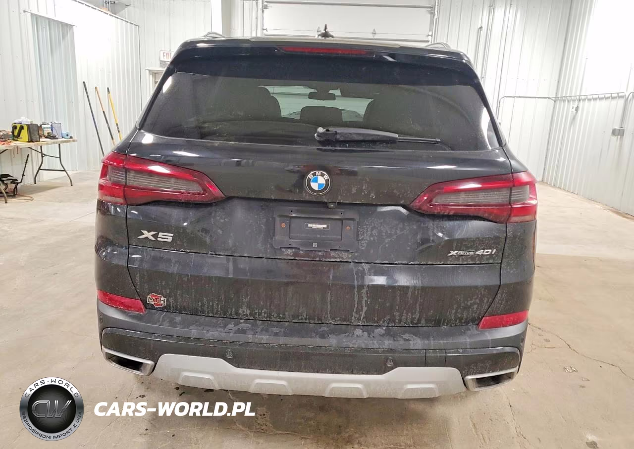 2023 BMW X5 xDrive40I VIN:5UXCR6C01P9N98699 - 6