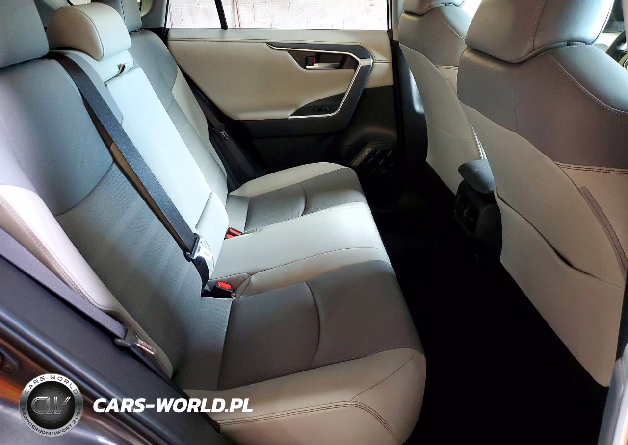 2019 Toyota Rav4 Limited VIN:JTMN1RFV9KD500132 - 10