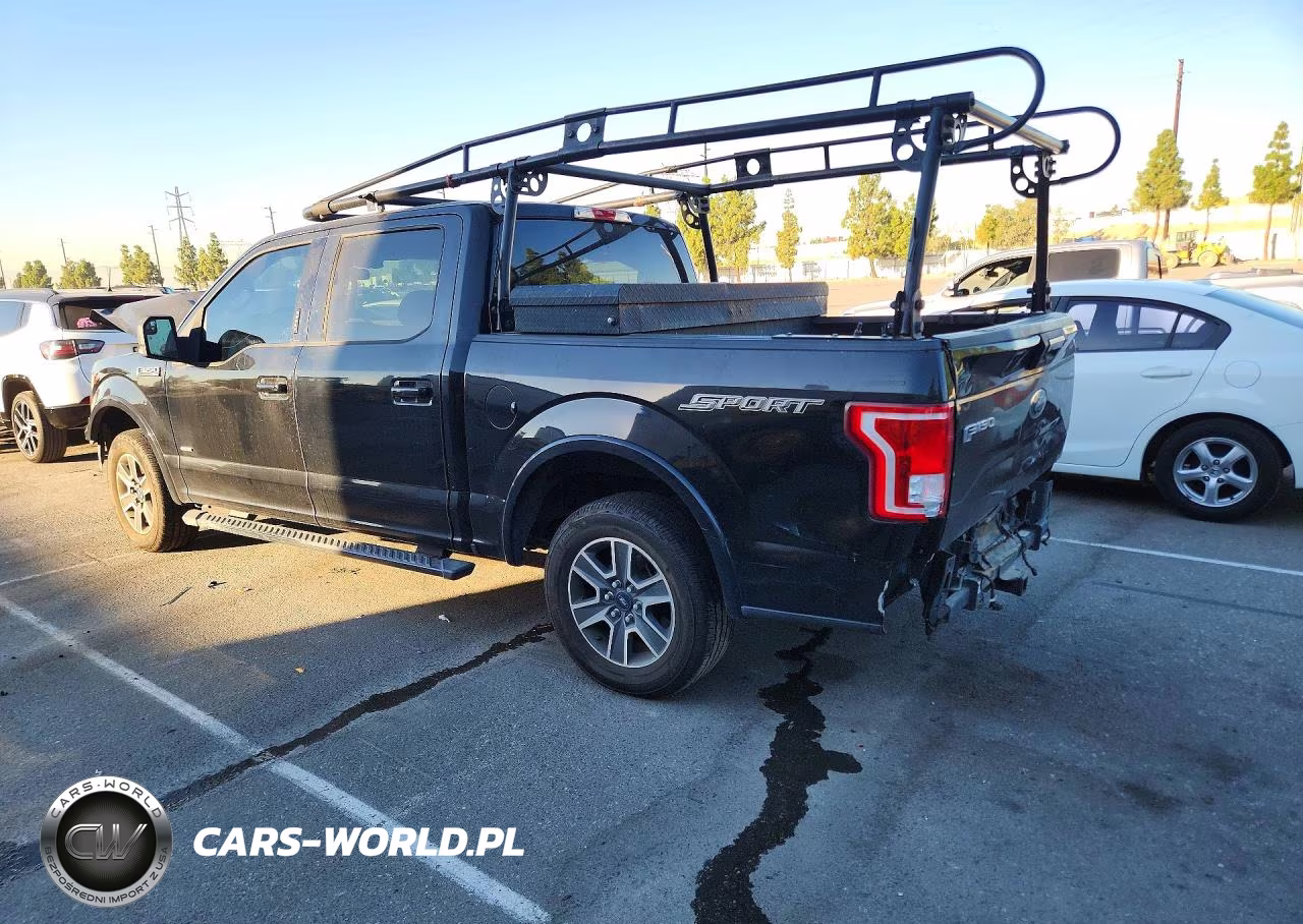 2016 Ford F150 Supercrew VIN:1FTEW1CG1GKD05055 - 2