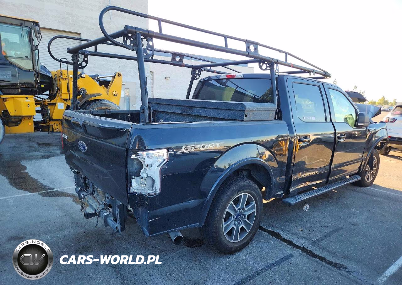 2016 Ford F150 Supercrew VIN:1FTEW1CG1GKD05055 - 3
