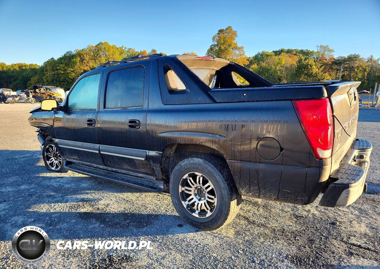 2004 Chevrolet Avalanche K1500 VIN:3GNEK12T64G162673 - 2
