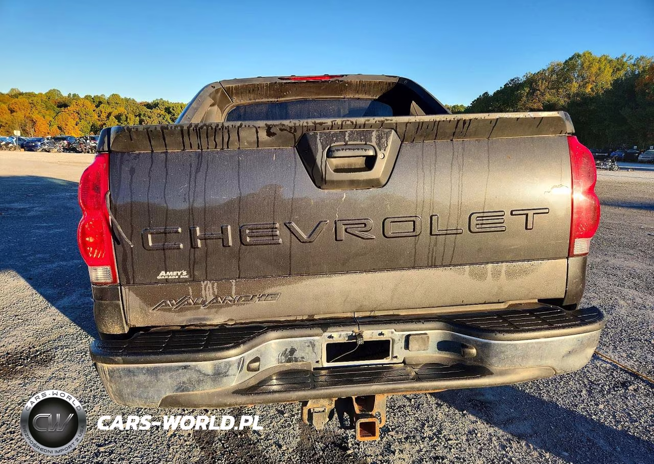 2004 Chevrolet Avalanche K1500 VIN:3GNEK12T64G162673 - 6
