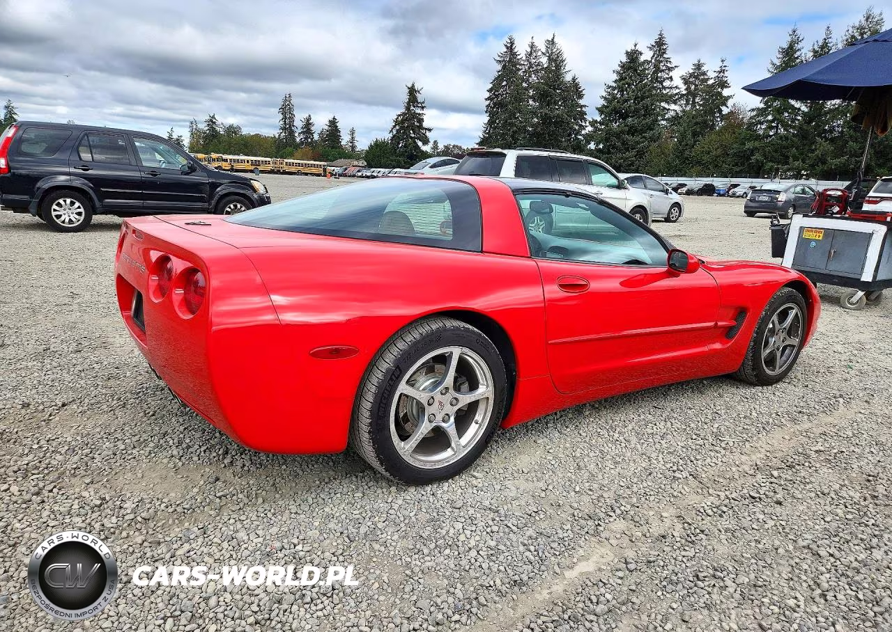 2000 Chevrolet Corvette VIN:1G1YY22G3Y5110503 - 3
