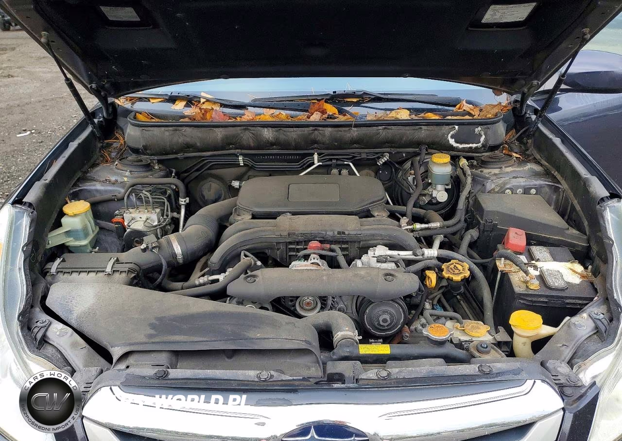2010 Subaru Outback 2.5I Premium VIN:4S4BRBBC8A3328828 - 12