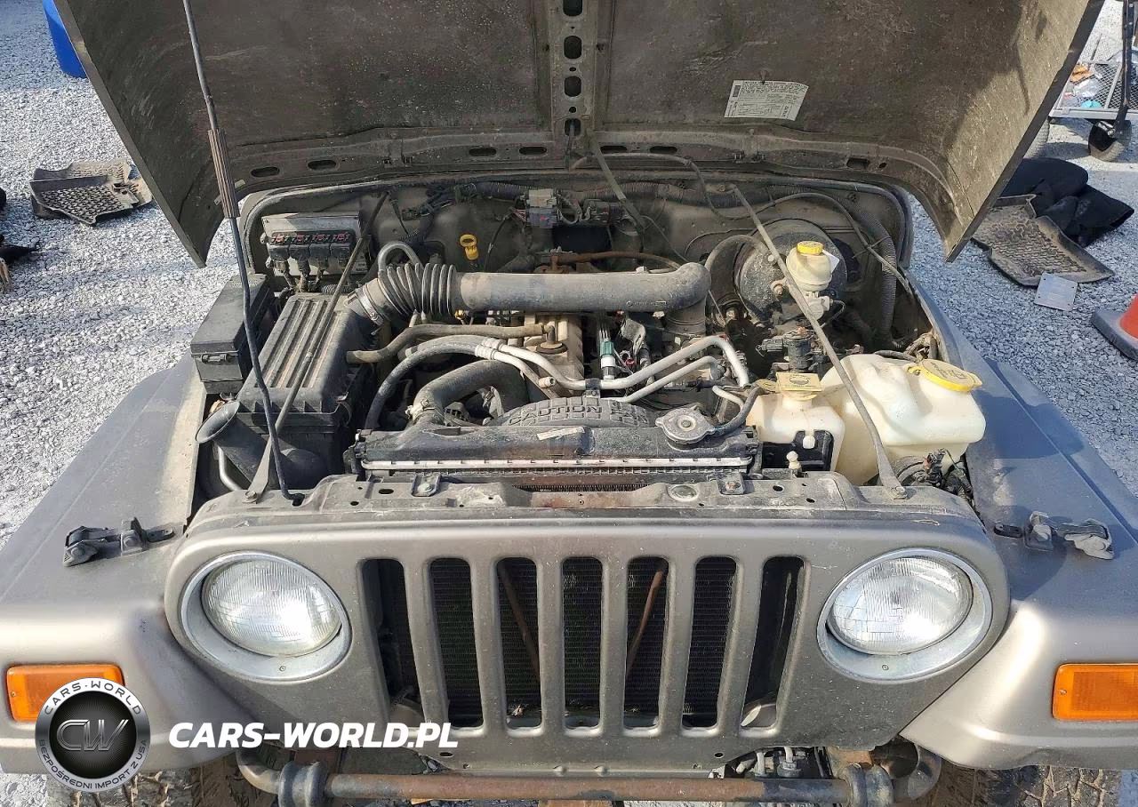 2006 Jeep Wrangler - Tj Se VIN:1J4FA29S46P764192 - 11