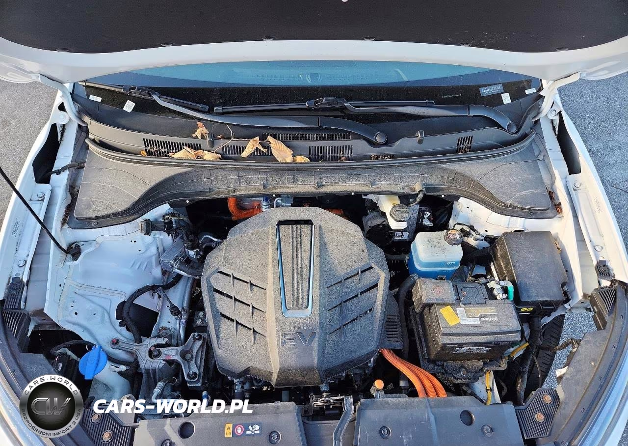 2023 Hyundai Kona Sel VIN:KM8K33AG4PU187013 - 11