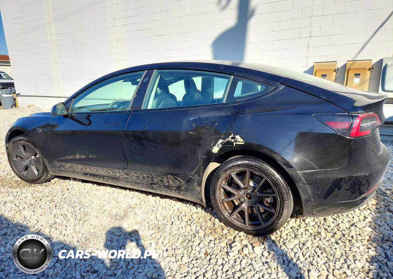 2022 Tesla Model 3 VIN:5YJ3E1EA4NF372360 - 2
