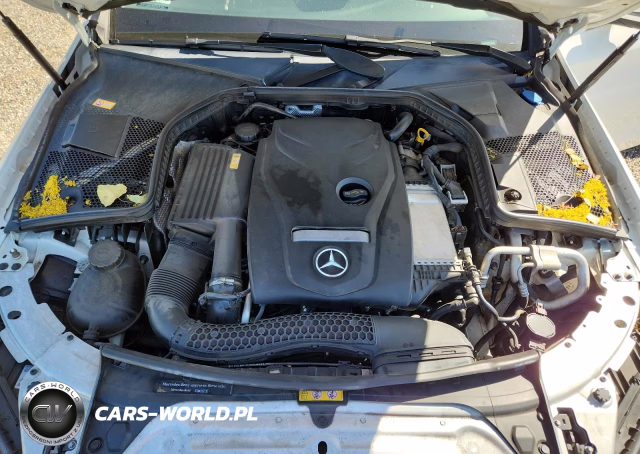 2016 Mercedes-Benz C 300 VIN:55SWF4JB9GU134449 - 11