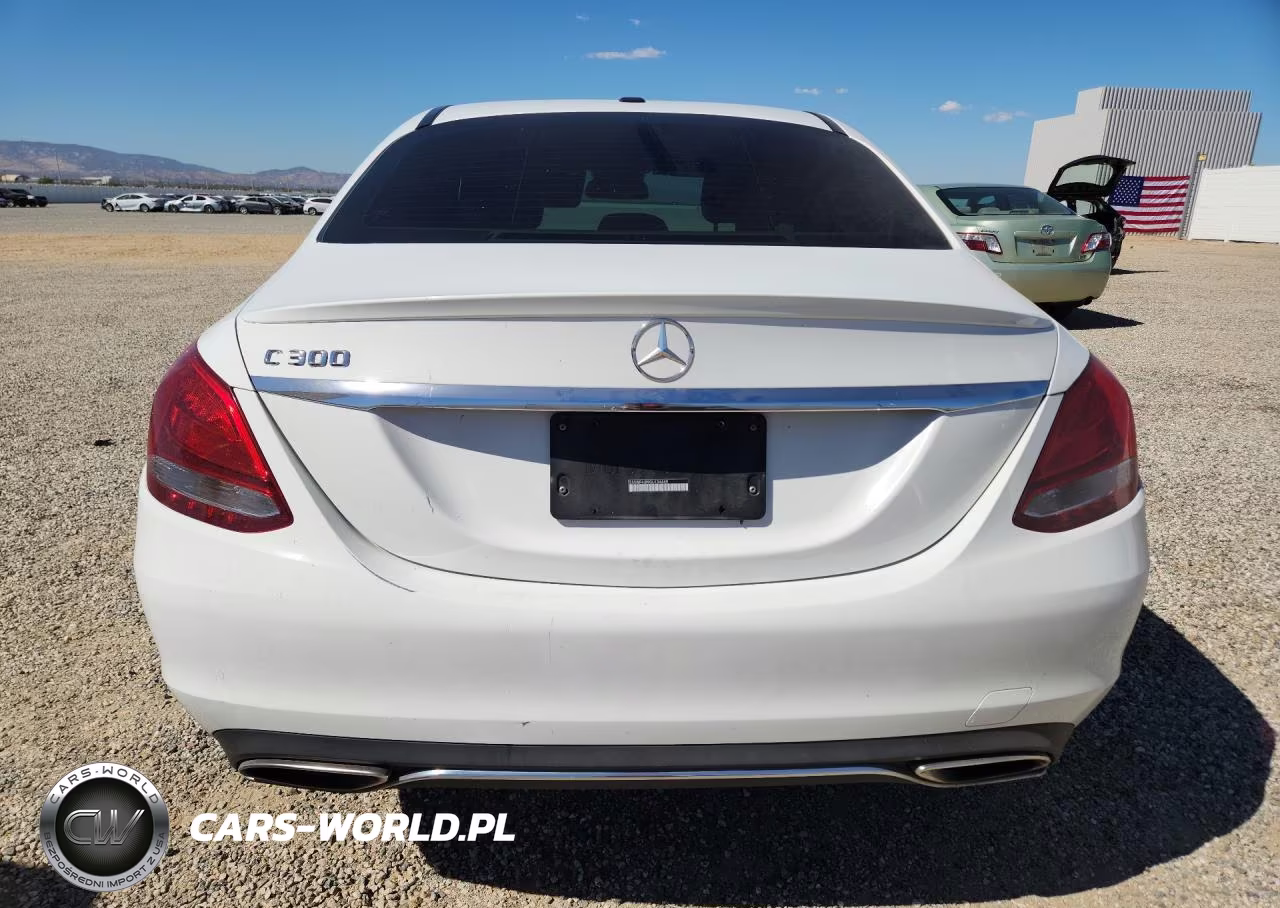 2016 Mercedes-Benz C 300 VIN:55SWF4JB9GU134449 - 6